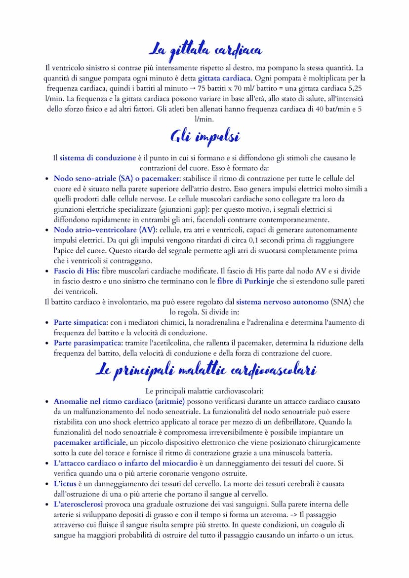 Il sistema cardiovascolare
Il sistema cardiovascolare è formato da un cuore (ovvero il muscolo cardiaco) e da un sistema di vasi
sanguigni (