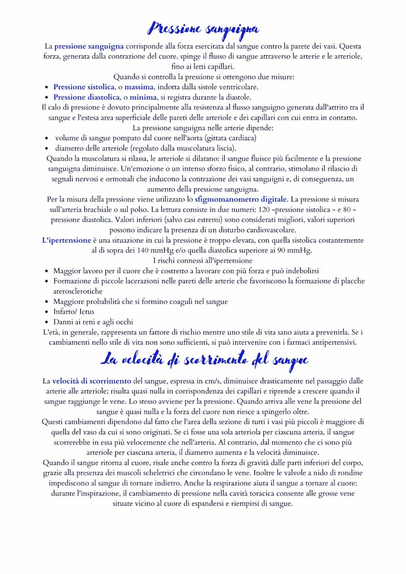 Il sistema cardiovascolare
Il sistema cardiovascolare è formato da un cuore (ovvero il muscolo cardiaco) e da un sistema di vasi
sanguigni (