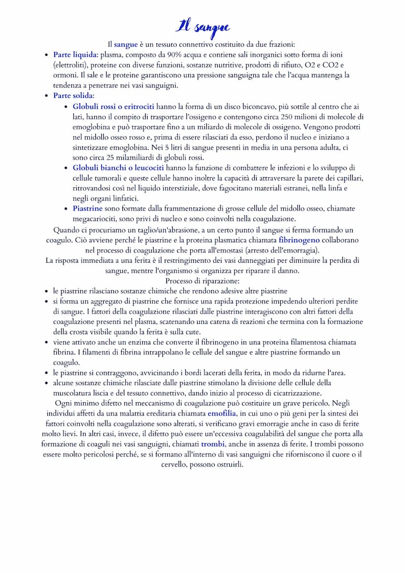 Il sistema cardiovascolare
Il sistema cardiovascolare è formato da un cuore (ovvero il muscolo cardiaco) e da un sistema di vasi
sanguigni (