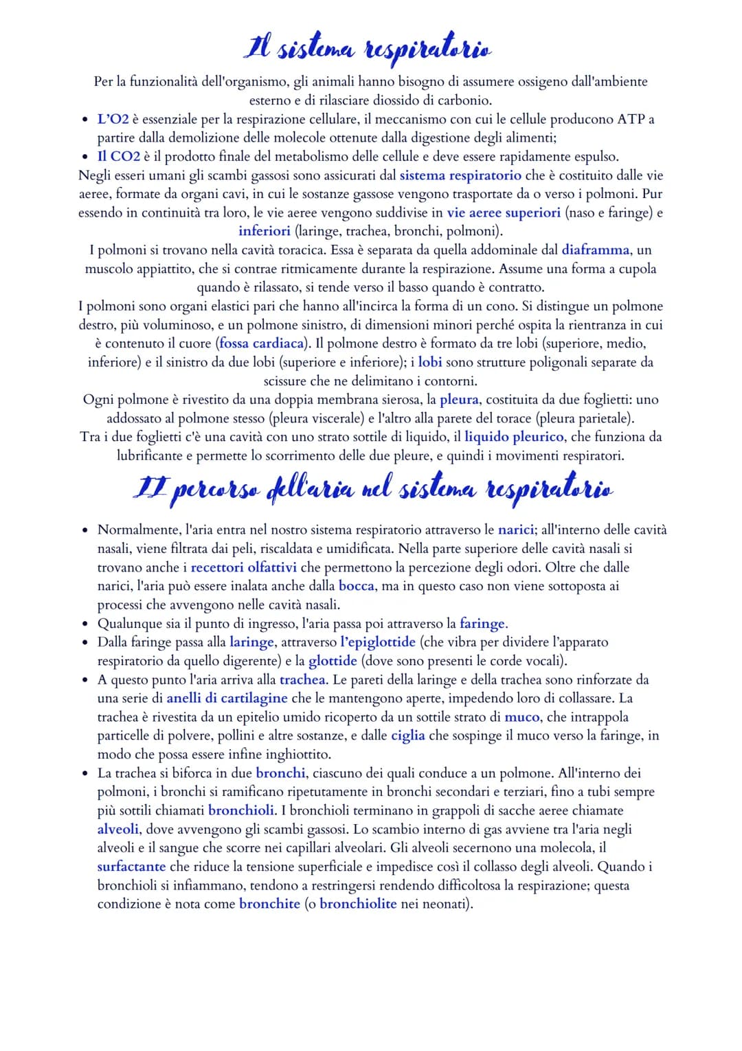 Il sistema cardiovascolare
Il sistema cardiovascolare è formato da un cuore (ovvero il muscolo cardiaco) e da un sistema di vasi
sanguigni (