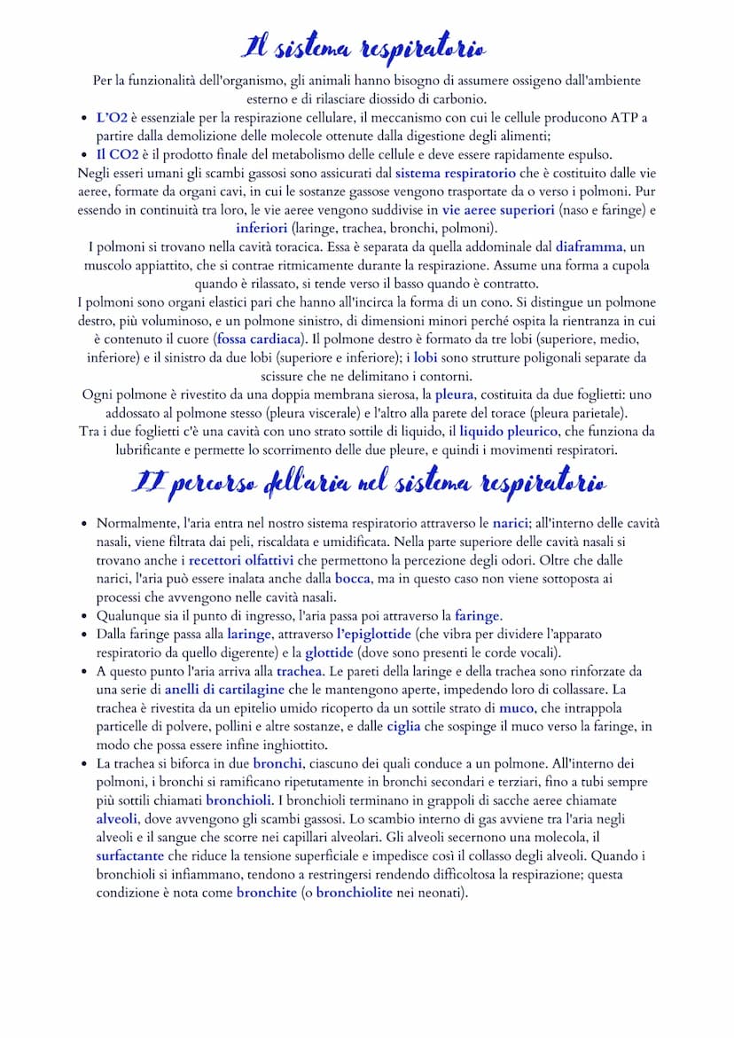 Il sistema cardiovascolare
Il sistema cardiovascolare è formato da un cuore (ovvero il muscolo cardiaco) e da un sistema di vasi
sanguigni (