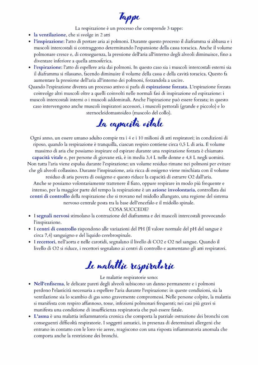 Il sistema cardiovascolare
Il sistema cardiovascolare è formato da un cuore (ovvero il muscolo cardiaco) e da un sistema di vasi
sanguigni (