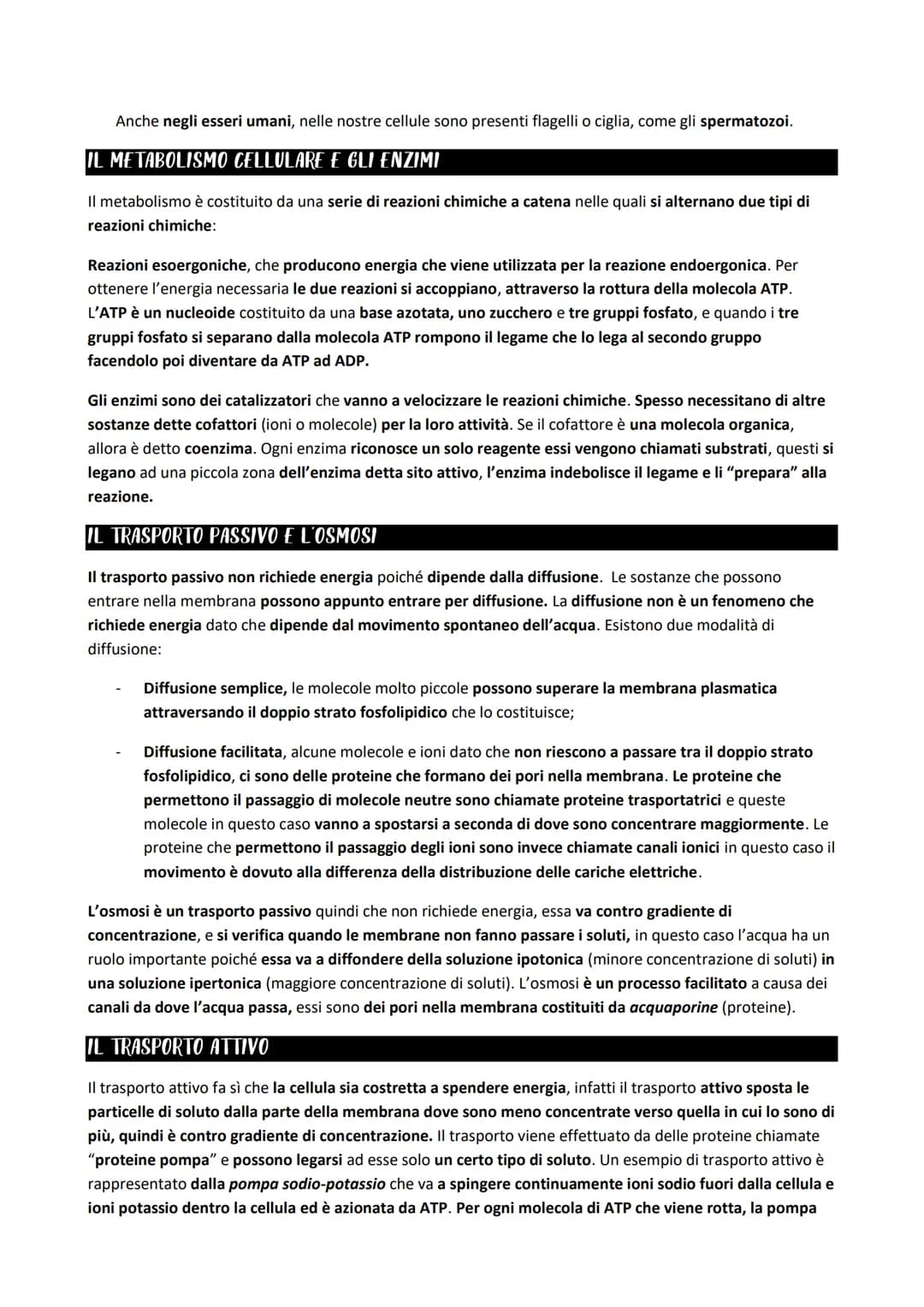 LA CELLULA PROCARIOTICA
Le differenze principali nelle cellule riguardano l'organizzazione del materiale genetico (DNA) e le
dimensioni dell