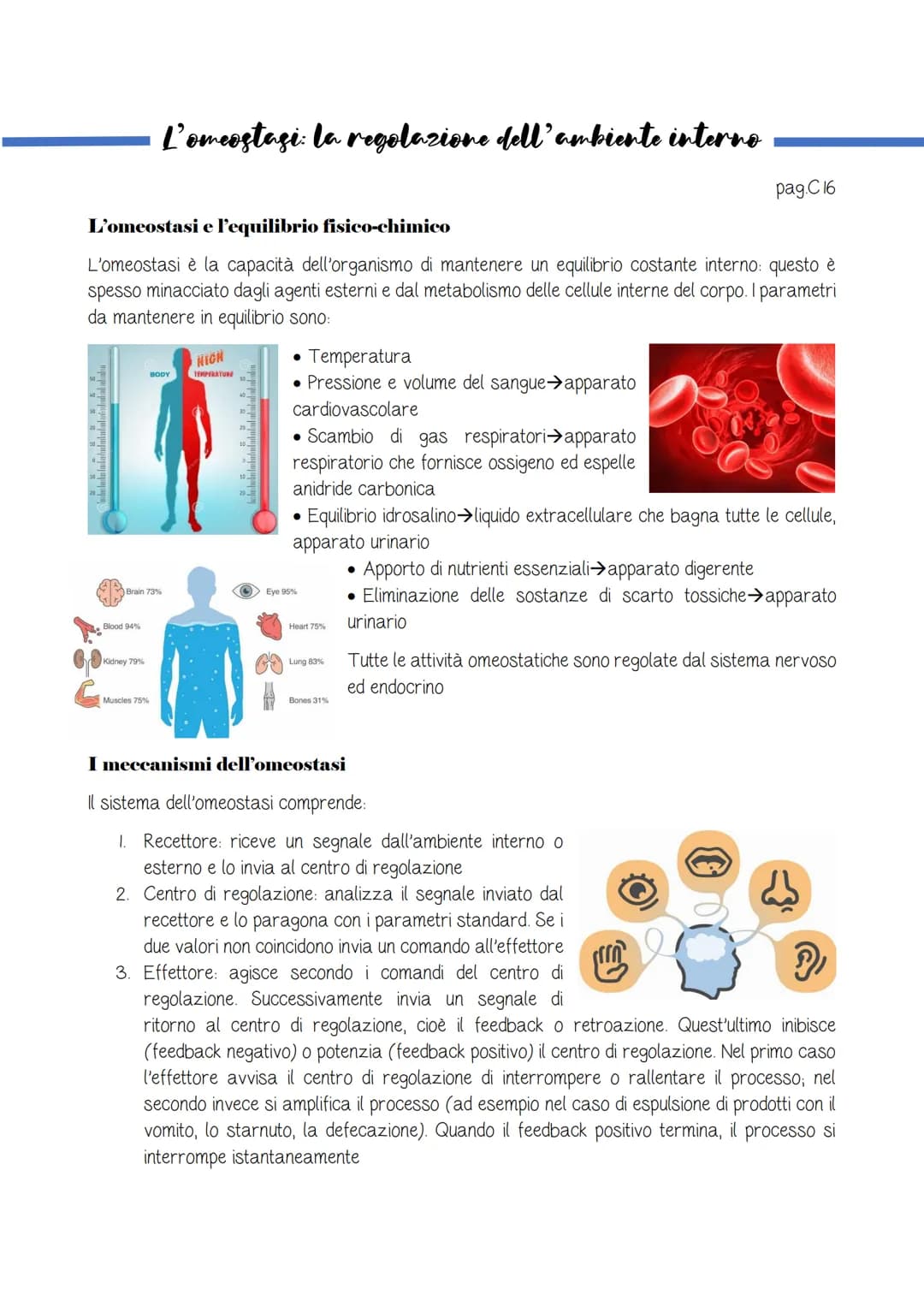 L'omeostasi e l'equilibrio fisico-chimico
L'omeostasi è la capacità dell'organismo di mantenere un equilibrio costante interno: questo è
spe
