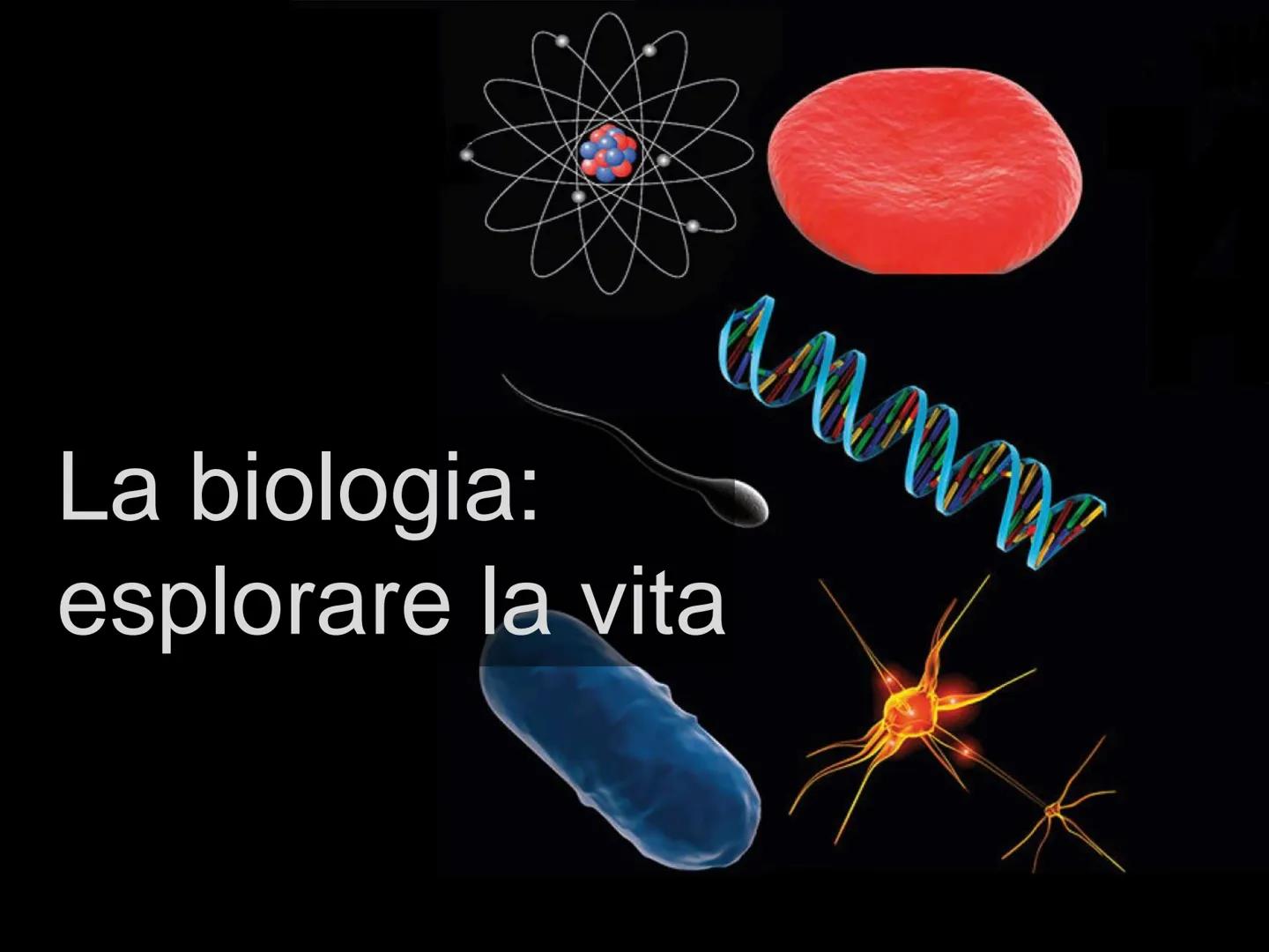 La biologia:
esplorare la vita
www Che cosa chiamiamo vita
EDUCATION La biologia è la scienza che studia il fenomeno
"vita".
La biologia stu