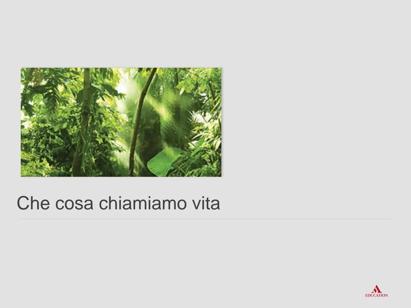 La biologia:
esplorare la vita
www Che cosa chiamiamo vita
EDUCATION La biologia è la scienza che studia il fenomeno
"vita".
La biologia stu