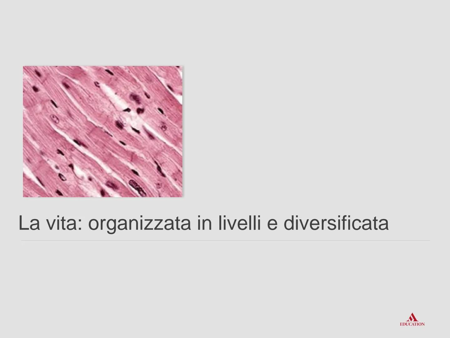 La biologia:
esplorare la vita
www Che cosa chiamiamo vita
EDUCATION La biologia è la scienza che studia il fenomeno
"vita".
La biologia stu