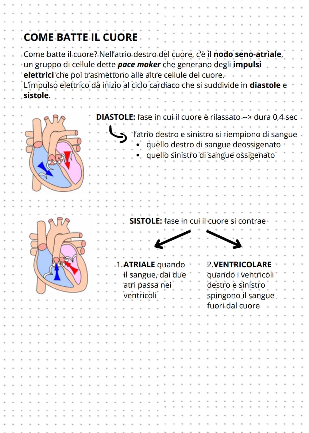 Apparato cardiovascolare
L'apparato cardiovascolare è formato da:
CUORE
VASI SANGUIGNI
V
ARTERIE: trasportano solo sangue
ossigenato, tranne