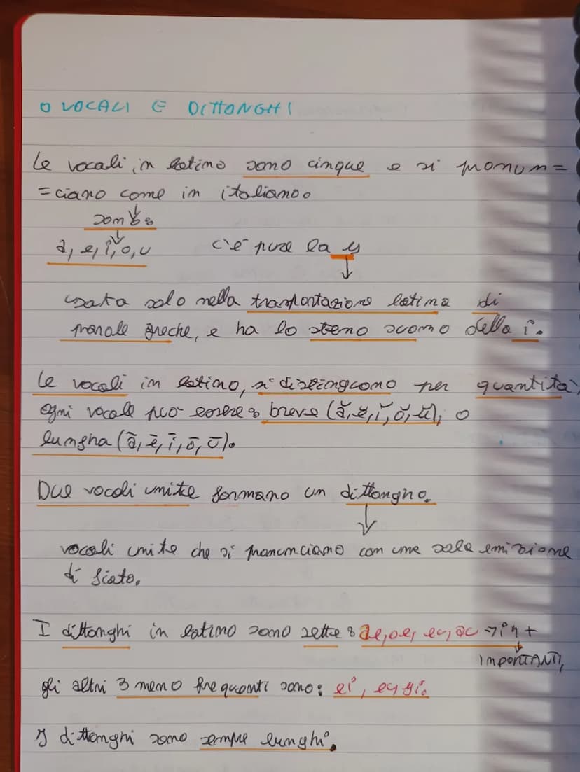 VOCABOLI (expressioni latime)
- Non plus ultra = non più oltre
- legenda = che deve essere letto
- lacneando= che si deve laurease
- mutanda