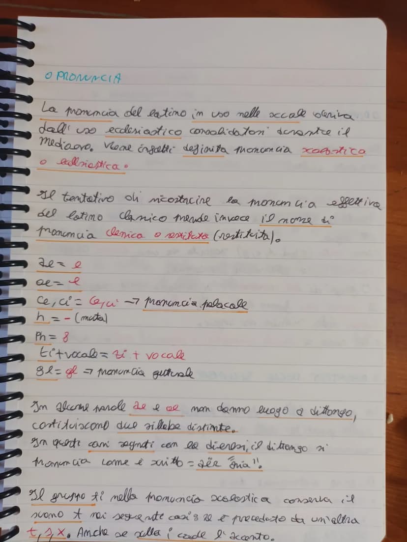 VOCABOLI (expressioni latime)
- Non plus ultra = non più oltre
- legenda = che deve essere letto
- lacneando= che si deve laurease
- mutanda