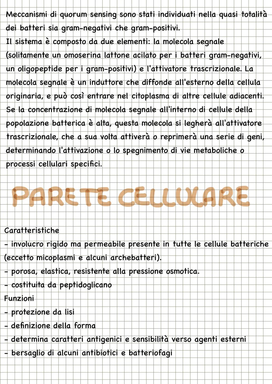 # CHECOS'E LA
MICROBIOLOGIA

La microbiologia è la scienza che studia i microrganismi, distribuiti nei
tre domini: Archea, dei Bacteria e de
