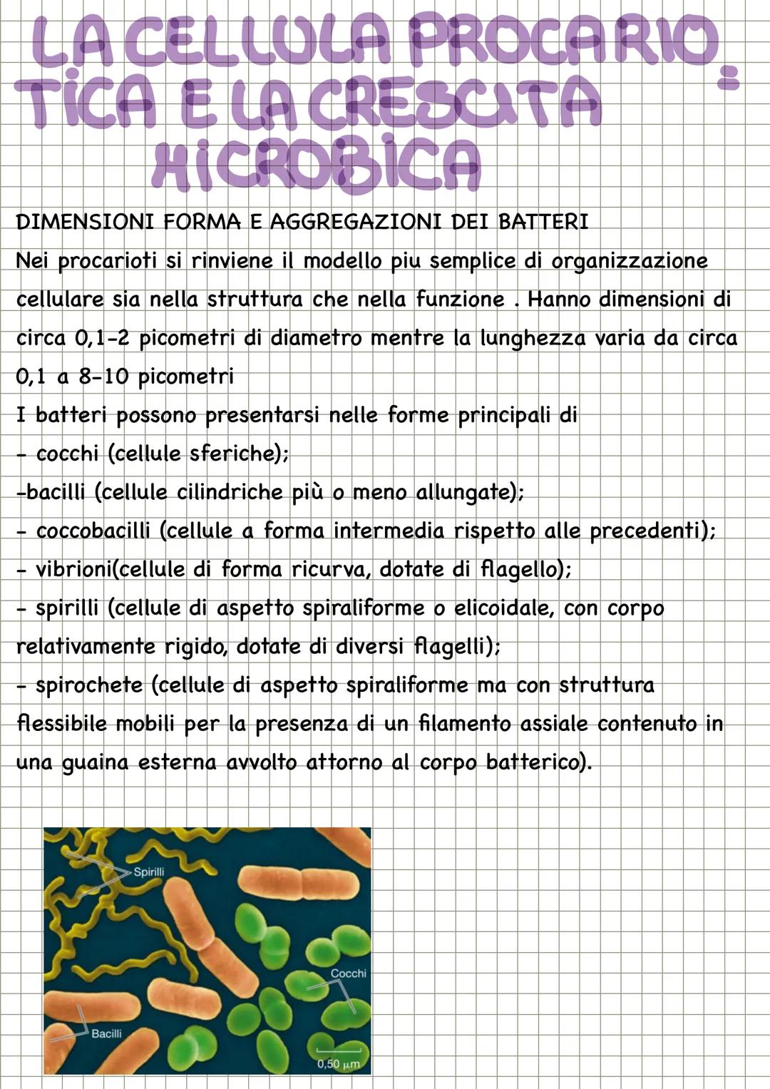 # CHECOS'E LA
MICROBIOLOGIA

La microbiologia è la scienza che studia i microrganismi, distribuiti nei
tre domini: Archea, dei Bacteria e de