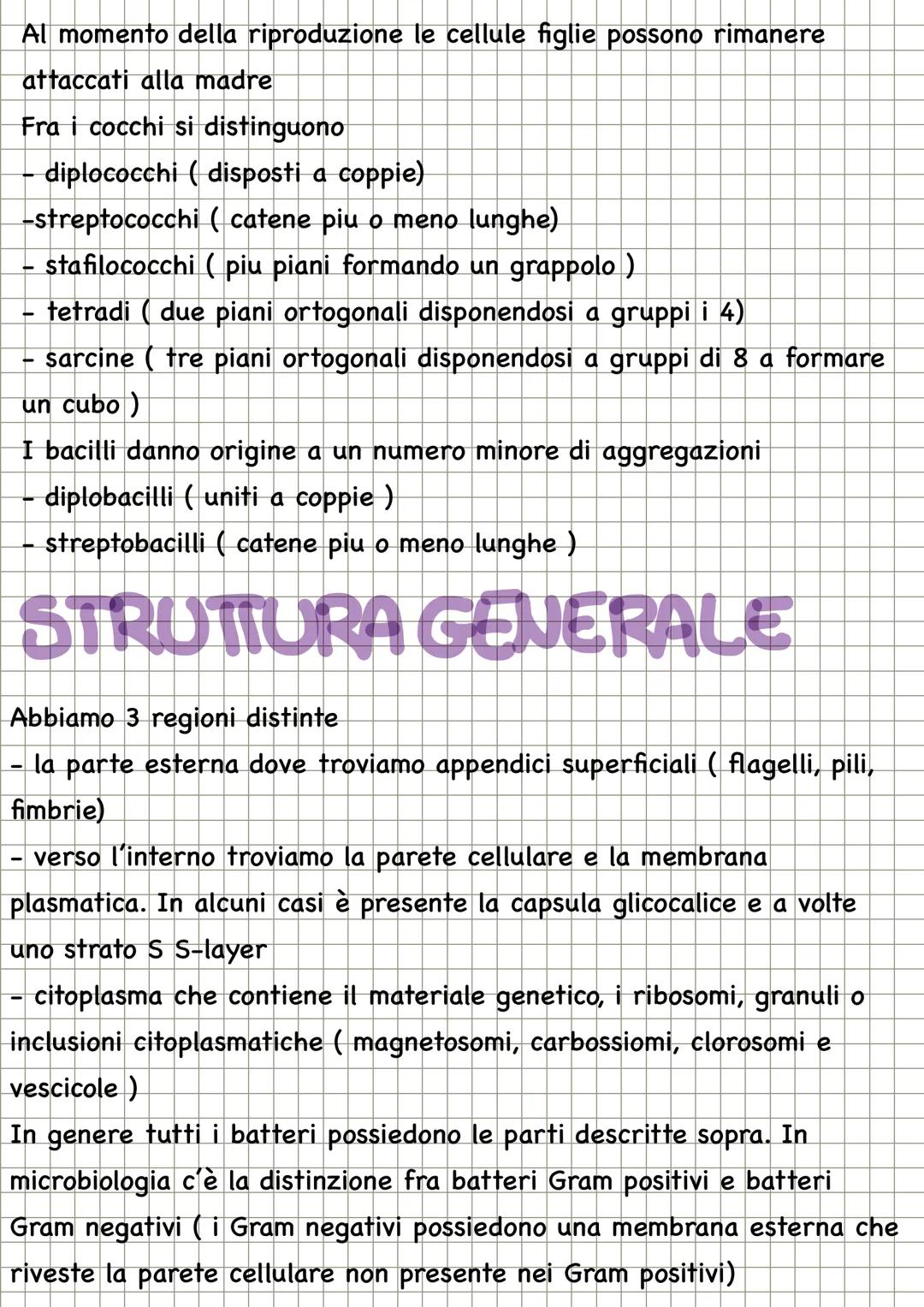 # CHECOS'E LA
MICROBIOLOGIA

La microbiologia è la scienza che studia i microrganismi, distribuiti nei
tre domini: Archea, dei Bacteria e de