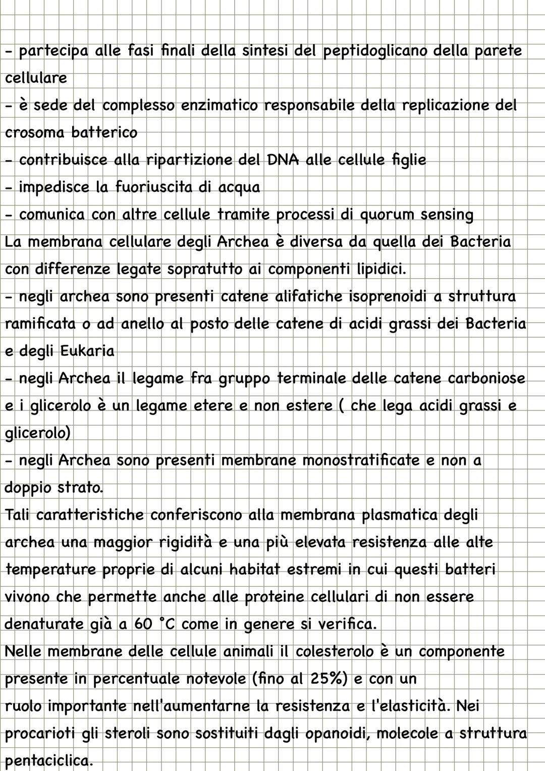 # CHECOS'E LA
MICROBIOLOGIA

La microbiologia è la scienza che studia i microrganismi, distribuiti nei
tre domini: Archea, dei Bacteria e de