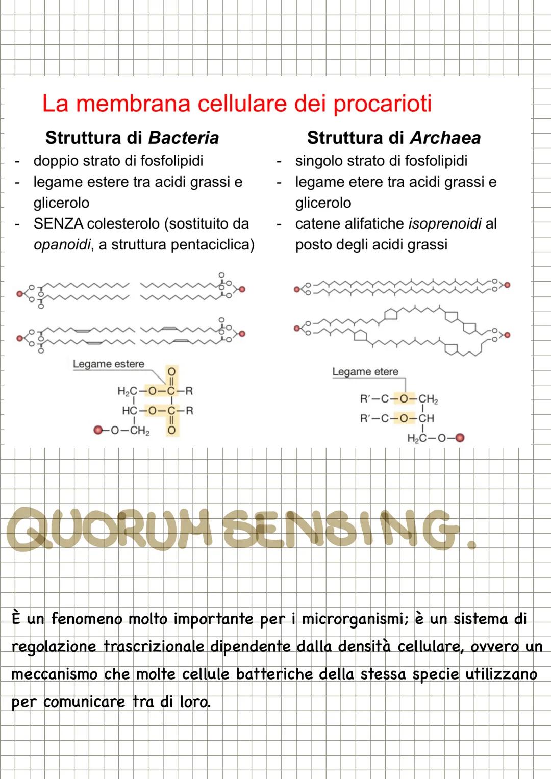 # CHECOS'E LA
MICROBIOLOGIA

La microbiologia è la scienza che studia i microrganismi, distribuiti nei
tre domini: Archea, dei Bacteria e de