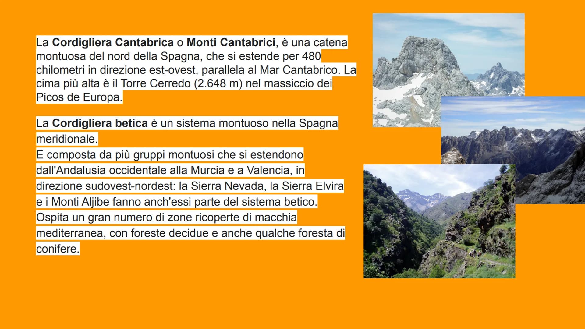 La Spagna Confini
La Spagna confina:
-a nord con la Francia e Andorra;
-a sud con Gibilterra;
-a est con il mar mediterraneo;
-a ovest con i