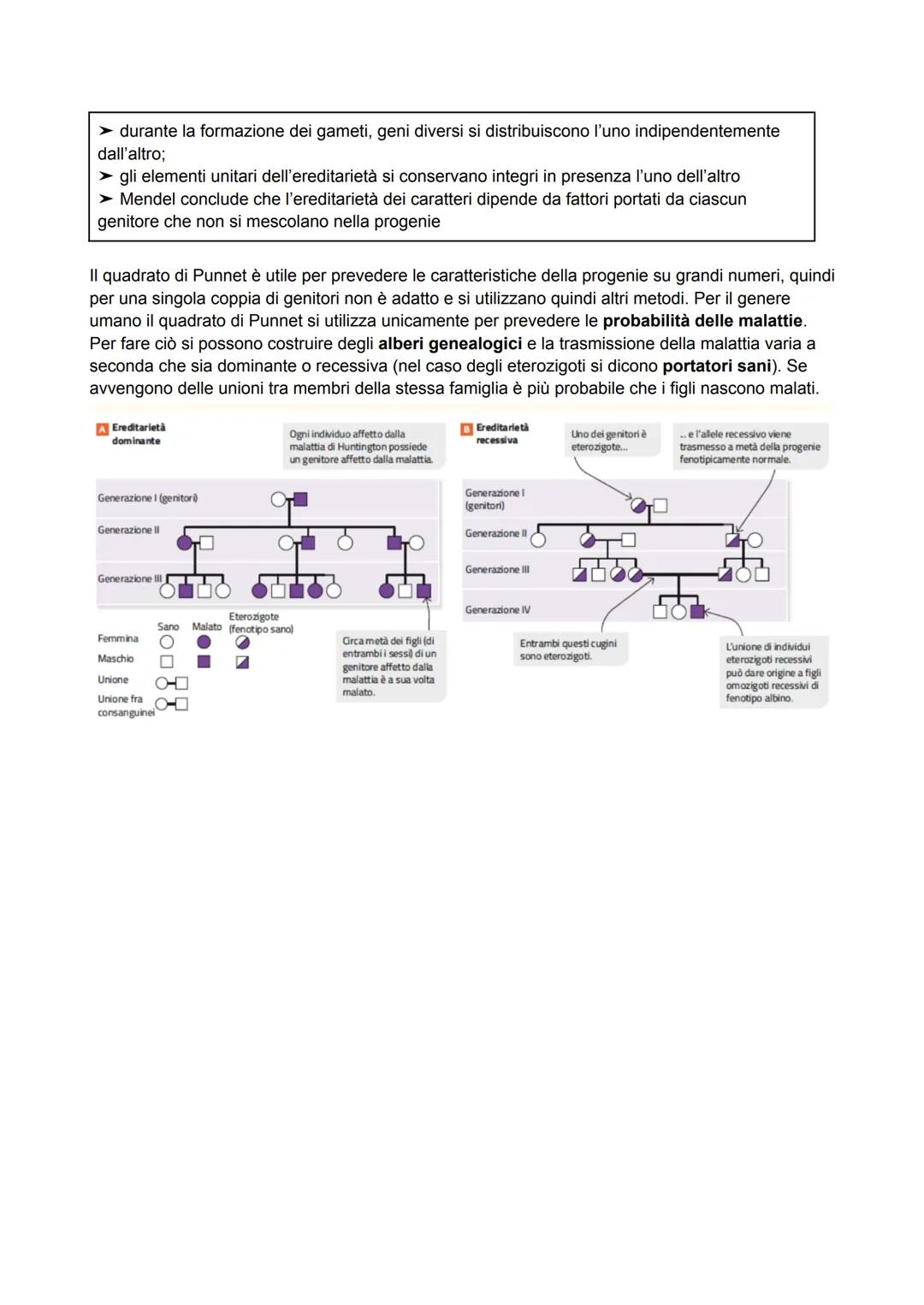 # La genetica e Mendel

La genetica si occupa di studiare la trasmissione dei caratteri da una generazione a un'altra, e di
tutto ciò che ha