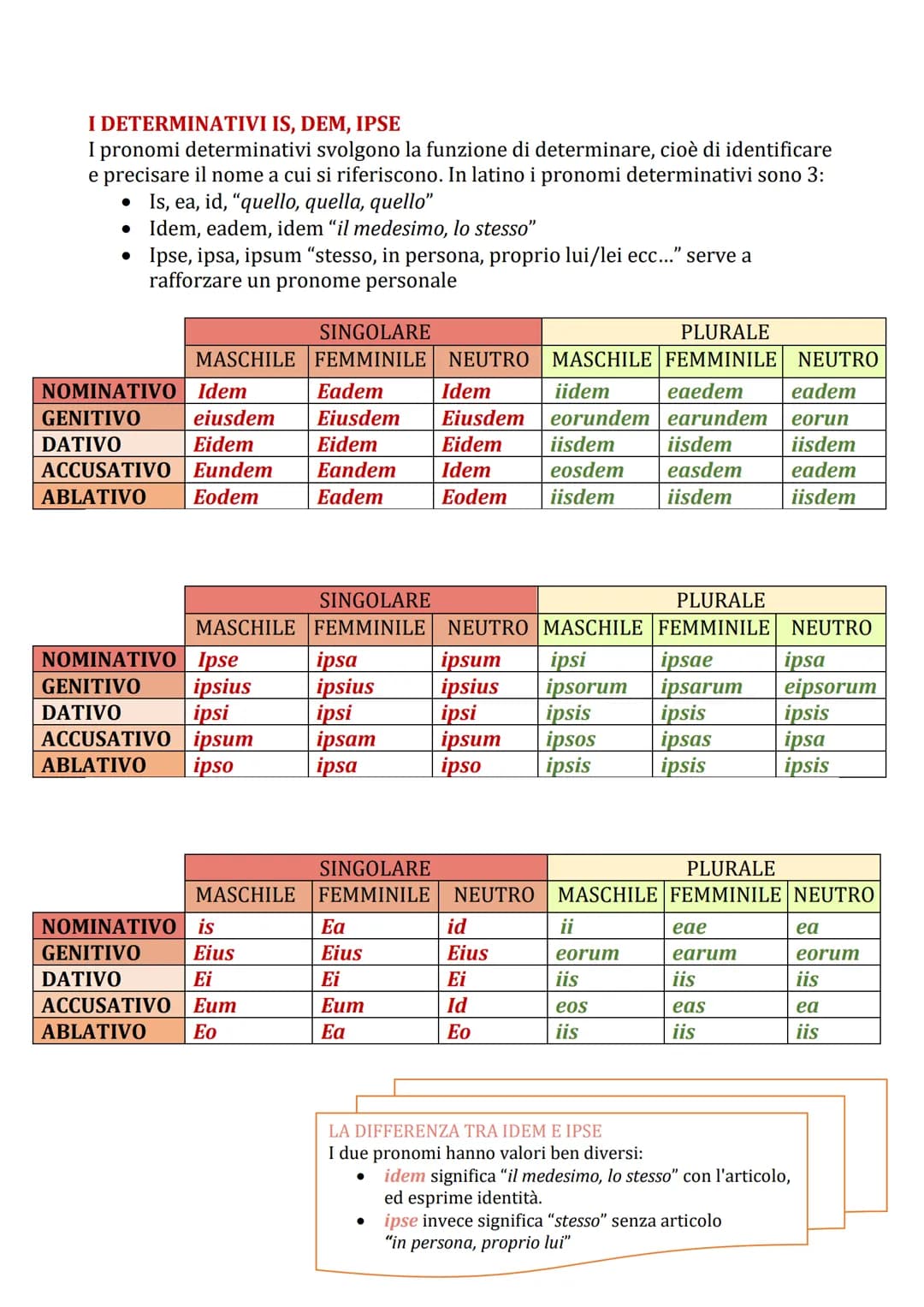 Guida alle Declinazioni e Coniugazioni Latine: Schemi e PDF