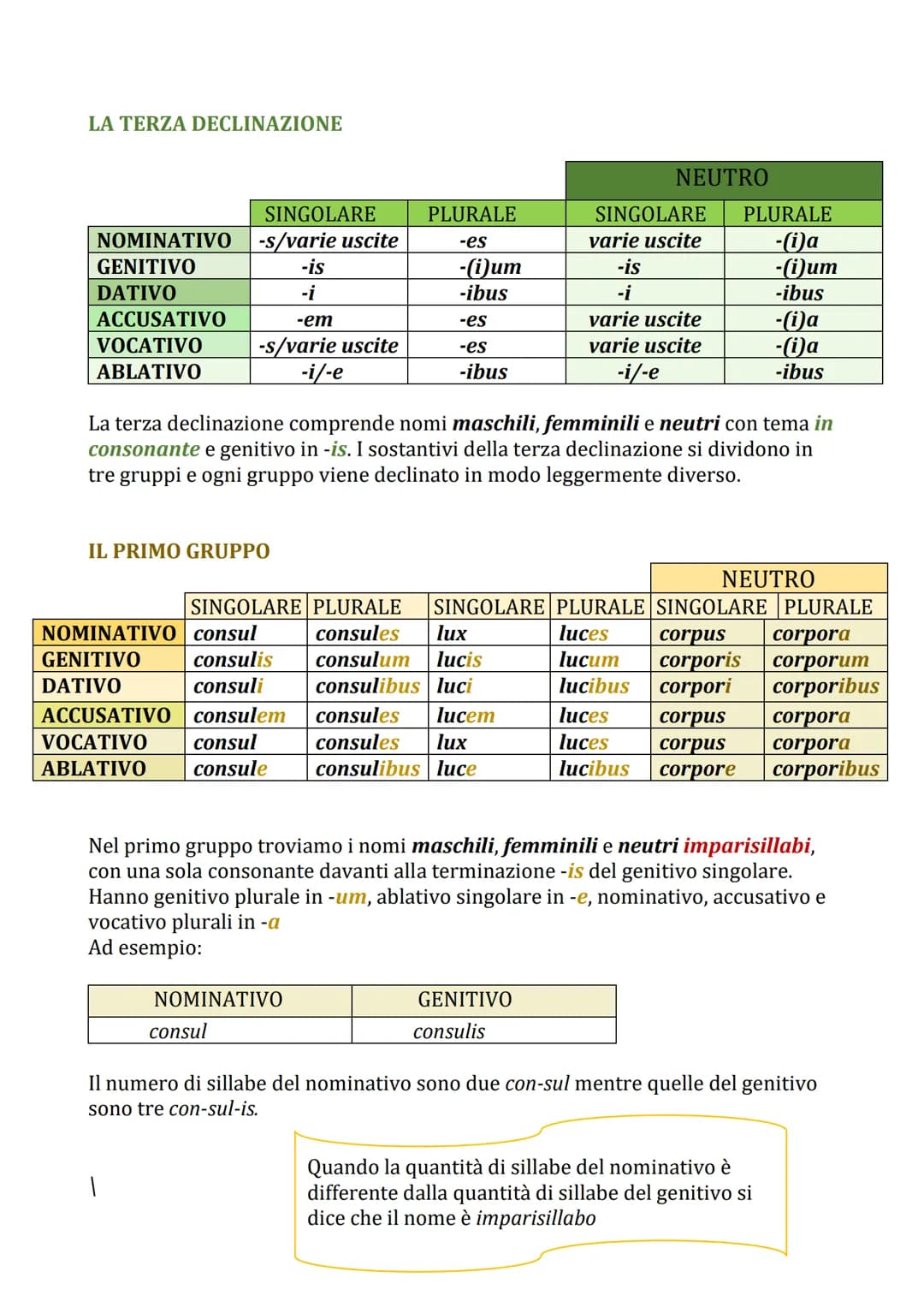 Guida alle Declinazioni e Coniugazioni Latine: Schemi e PDF