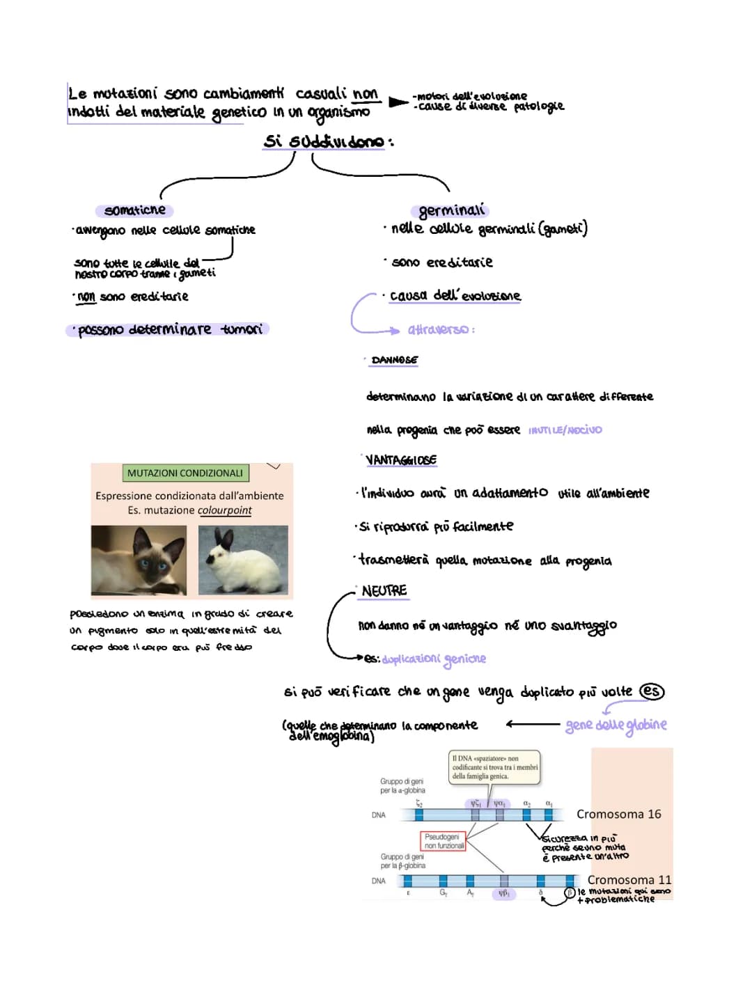 Le mutazioni genetiche 