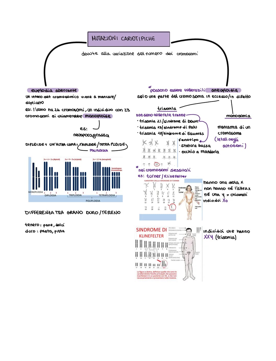 Le motazioni sono cambiamenti casuali non
indotti del materiale genetico in un organismo
Si suddividono:
somatiche
·avvengono nelle cellule 
