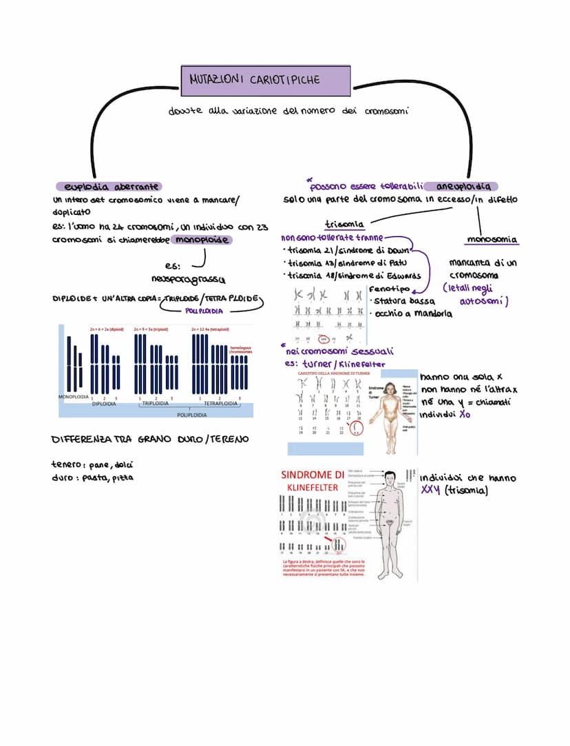 Le motazioni sono cambiamenti casuali non
indotti del materiale genetico in un organismo
Si suddividono:
somatiche
·avvengono nelle cellule 