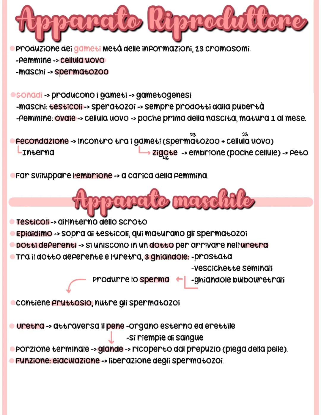 Apparato Riproduttore e Ciclo Mestruale