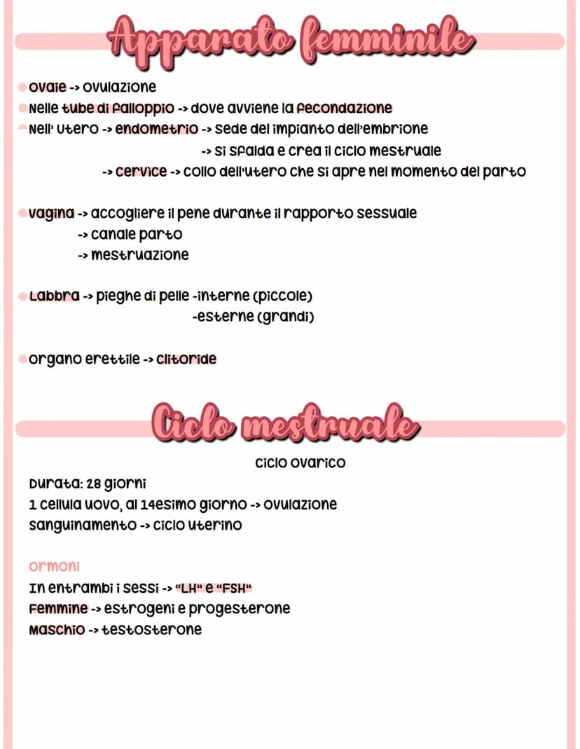 Apparato Riproduttore
produzione dei gameti metà delle informazioni, 23 cromosomi.
-Femmine -> cellula uovo
-maschi -> spermatozoo
Gonadi ->