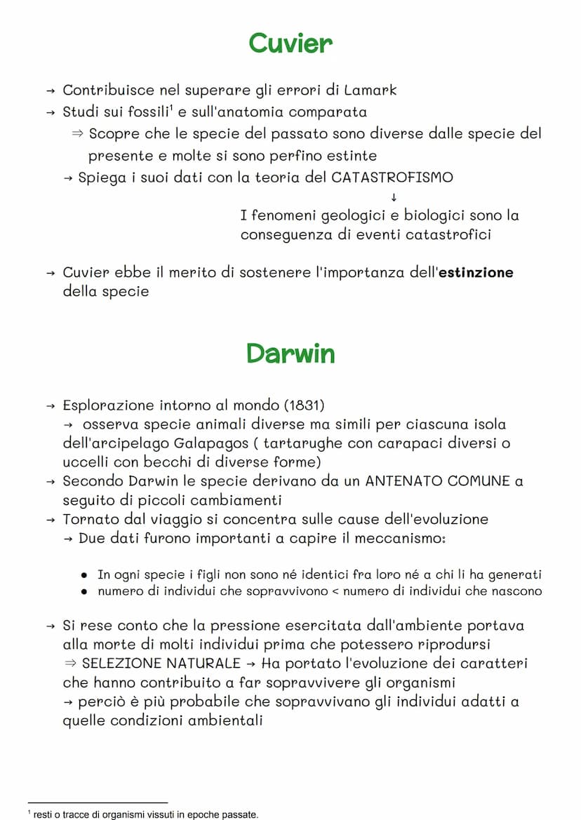 FISSISMO
→>>
→
Fino alla seconda metà del Settecento
Si ha una concezione FISSATA della natura
Le specie sono
immutabili e statiche e vengon