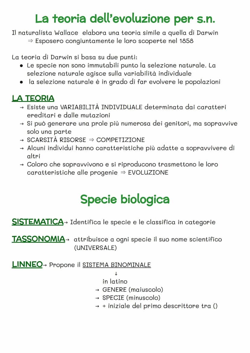 FISSISMO
→>>
→
Fino alla seconda metà del Settecento
Si ha una concezione FISSATA della natura
Le specie sono
immutabili e statiche e vengon