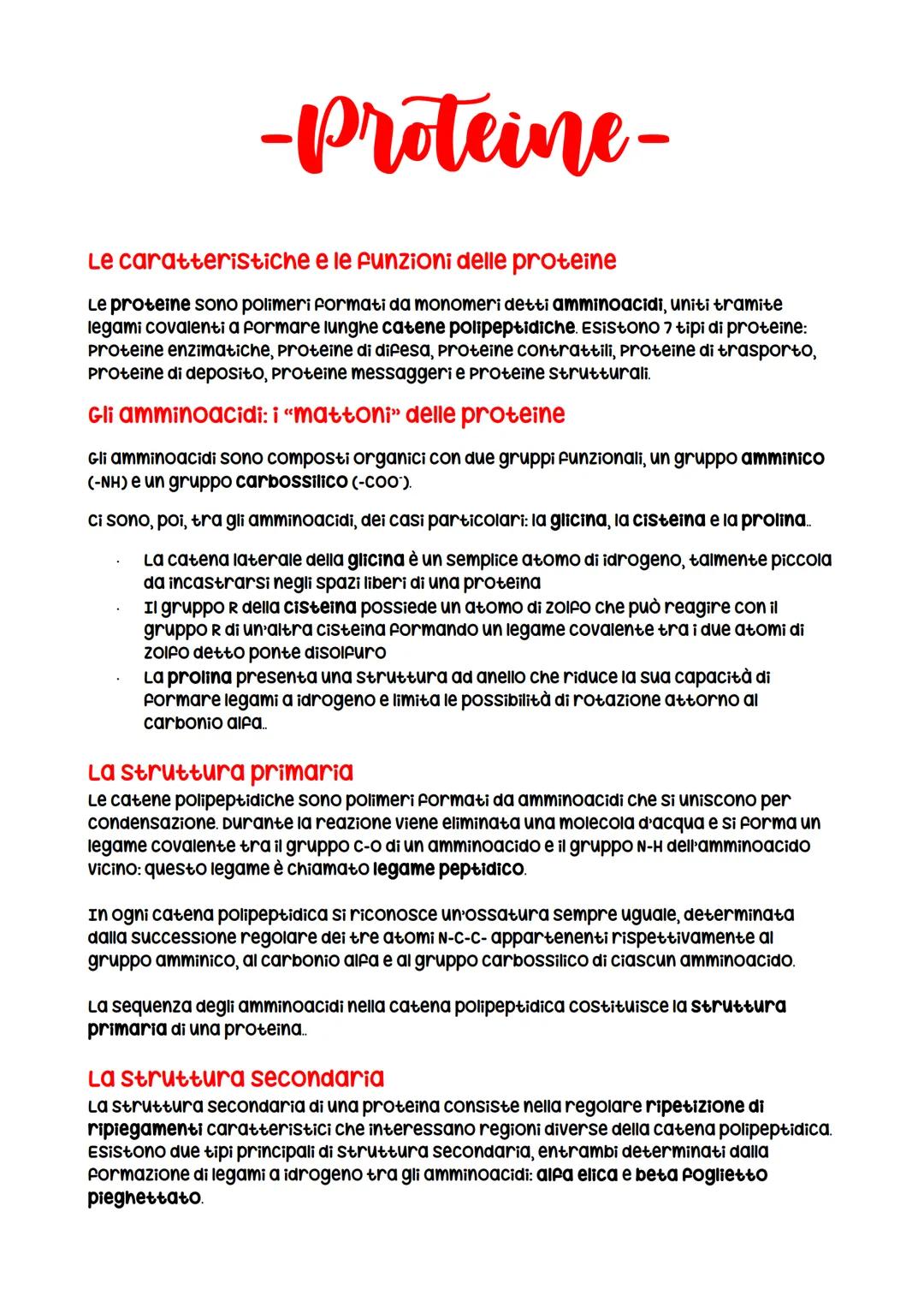-Proteine-
Le caratteristiche e le funzioni delle proteine
Le proteine sono polimeri formati da monomeri detti amminoacidi, uniti tramite
le