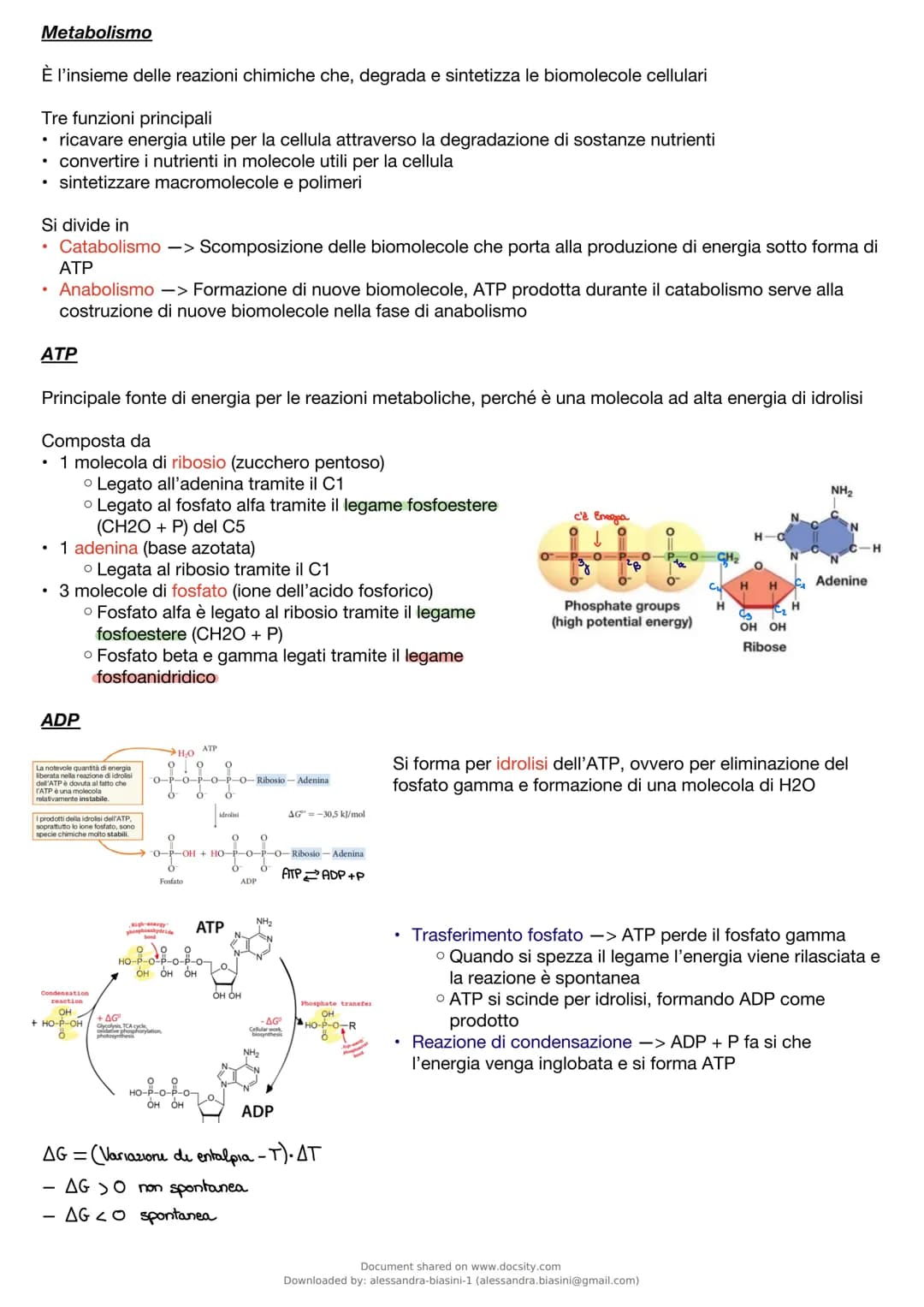 Metabolismo
È l'insieme delle reazioni chimiche che, degrada e sintetizza le biomolecole cellulari
Tre funzioni principali
• ricavare energi