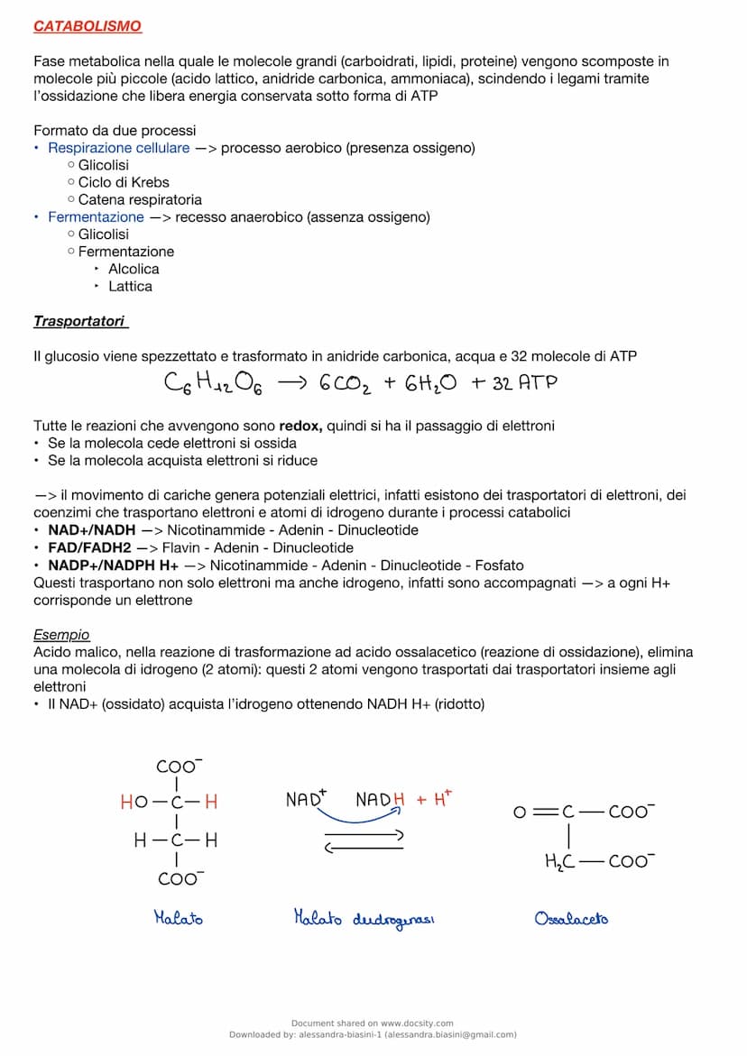 Metabolismo
È l'insieme delle reazioni chimiche che, degrada e sintetizza le biomolecole cellulari
Tre funzioni principali
• ricavare energi