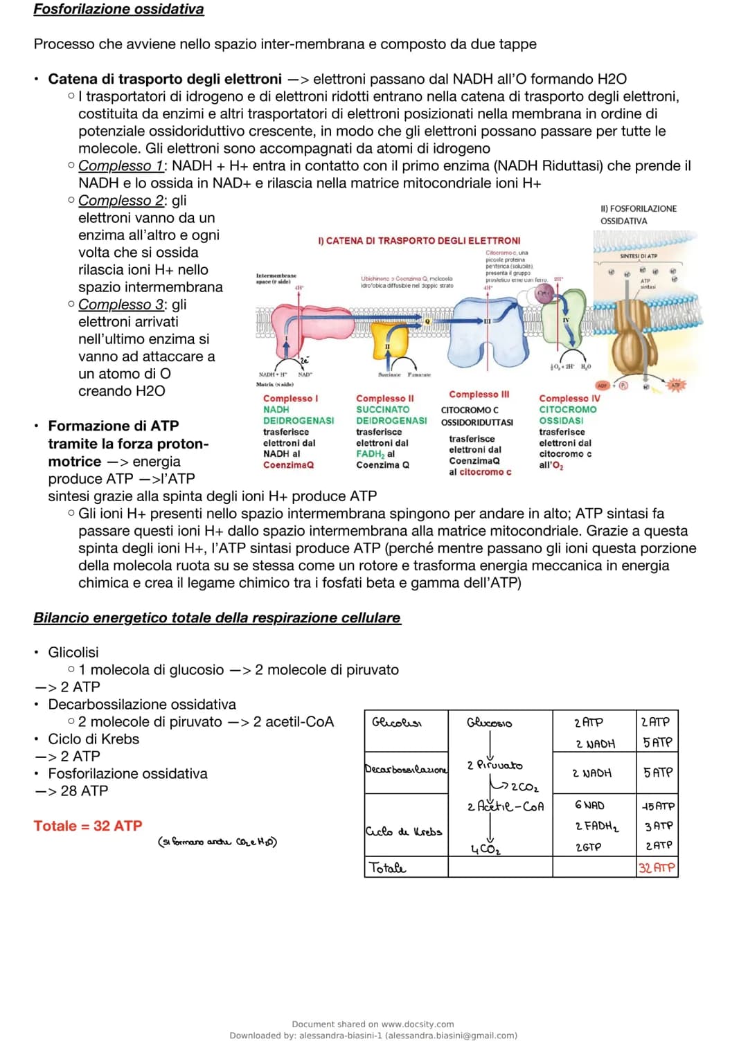 Metabolismo
È l'insieme delle reazioni chimiche che, degrada e sintetizza le biomolecole cellulari
Tre funzioni principali
• ricavare energi