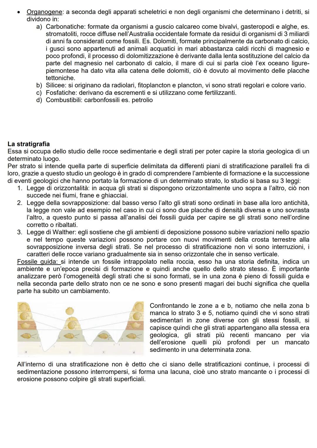 GEOLOGIA
INTRODUZIONE
La geologia si occupa dello studio dei fossili, ci fa capire come il paesaggio si sia trasformato negli anni,
cosa ci 