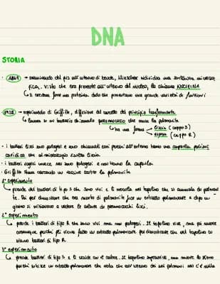 Know il DNA (storia + replicazione + trascrizione + traduzione)  thumbnail