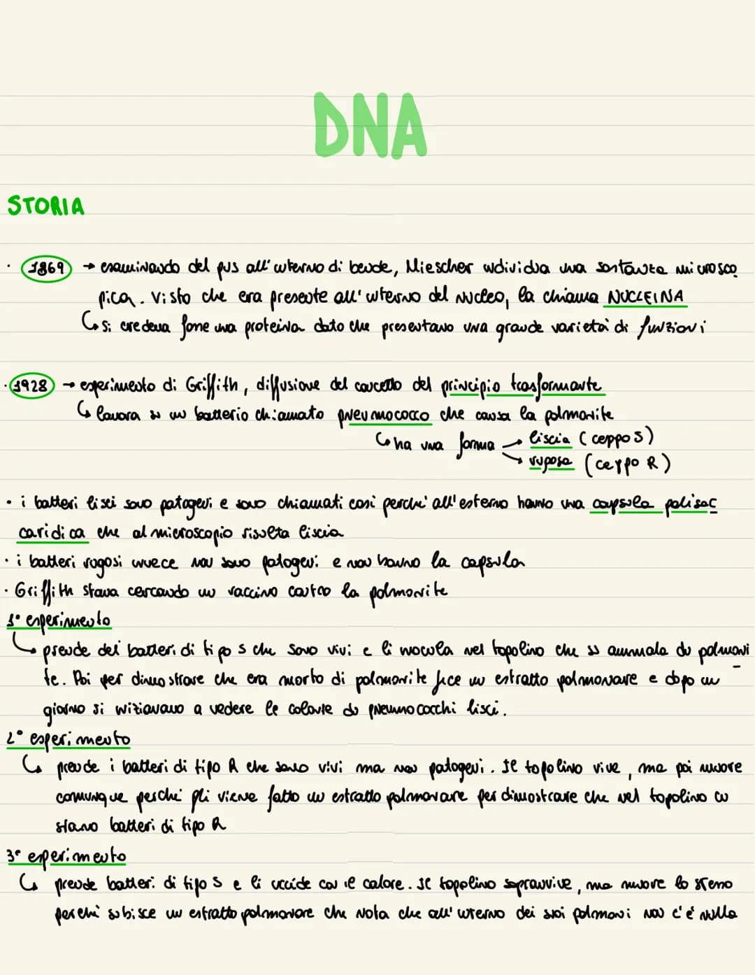 DNA
1869
→ examinando del pus all' uuterno di beude, Miescher wdividua una sostanze microsco
pica. Visto che era presente all' wherno del Nu