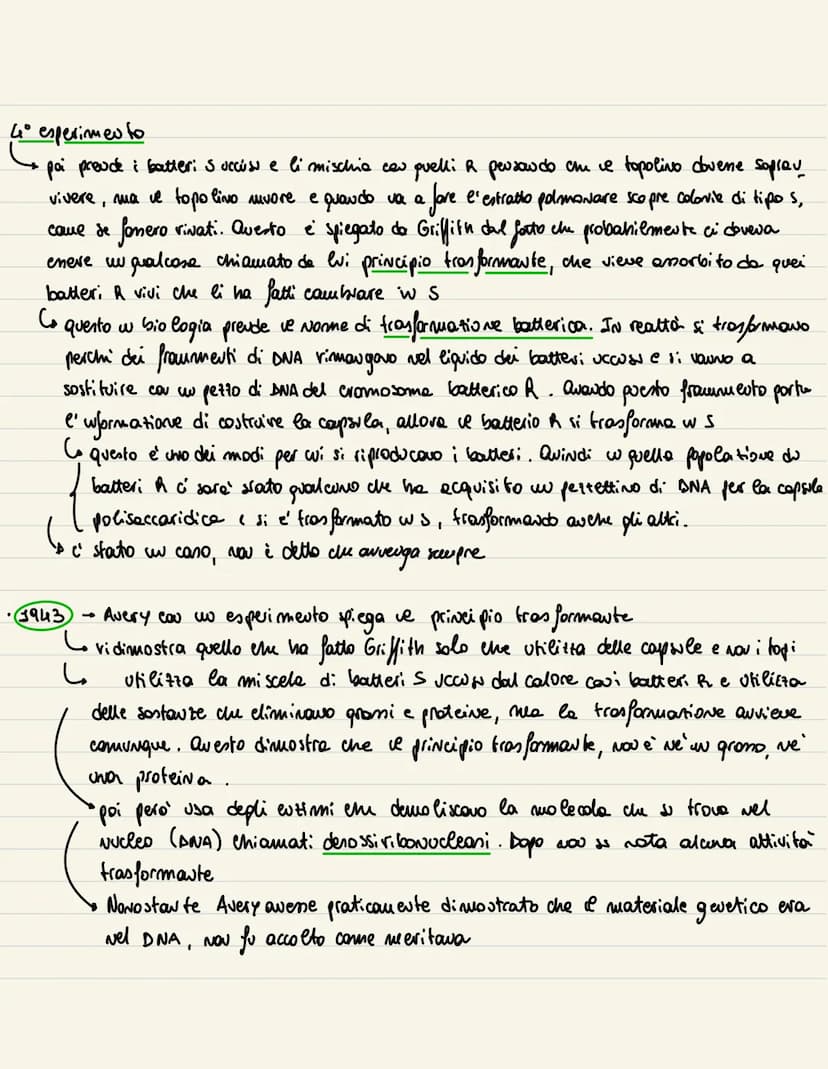 DNA
1869
→ examinando del pus all' uuterno di beude, Miescher wdividua una sostanze microsco
pica. Visto che era presente all' wherno del Nu