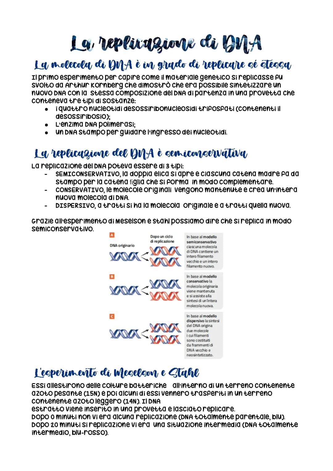La replicazione del DNA 