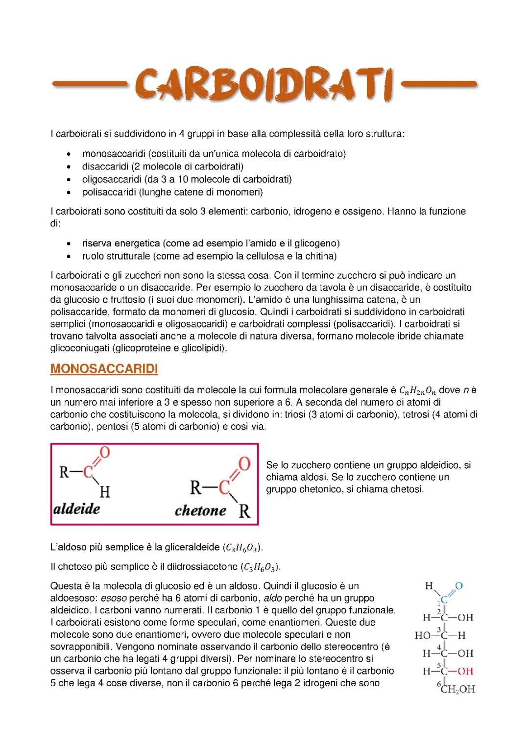 I Carboidrati per Bambini: Facile Riassunto PDF e Tabella Alimenti