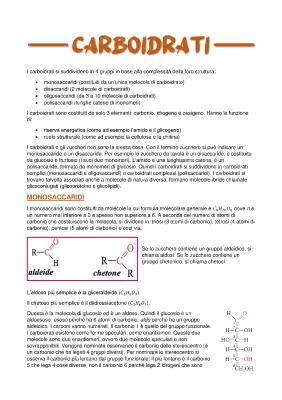 Know Biomolecole: i carboidrati  thumbnail