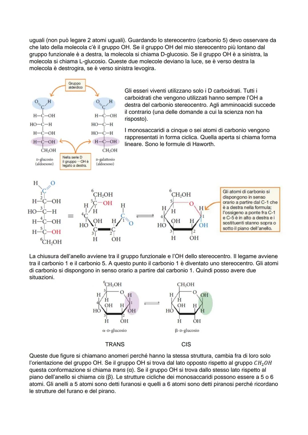 I carboidrati si suddividono in 4 gruppi in base alla complessità della loro struttura:
monosaccaridi (costituiti da un'unica molecola di ca