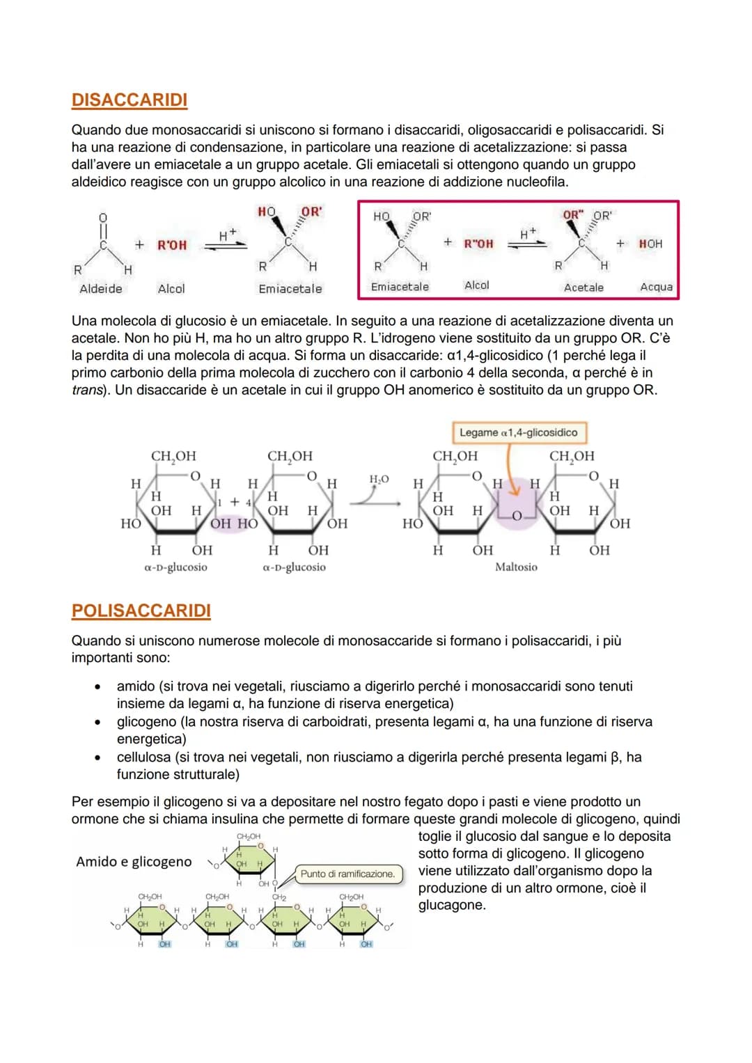 I carboidrati si suddividono in 4 gruppi in base alla complessità della loro struttura:
monosaccaridi (costituiti da un'unica molecola di ca