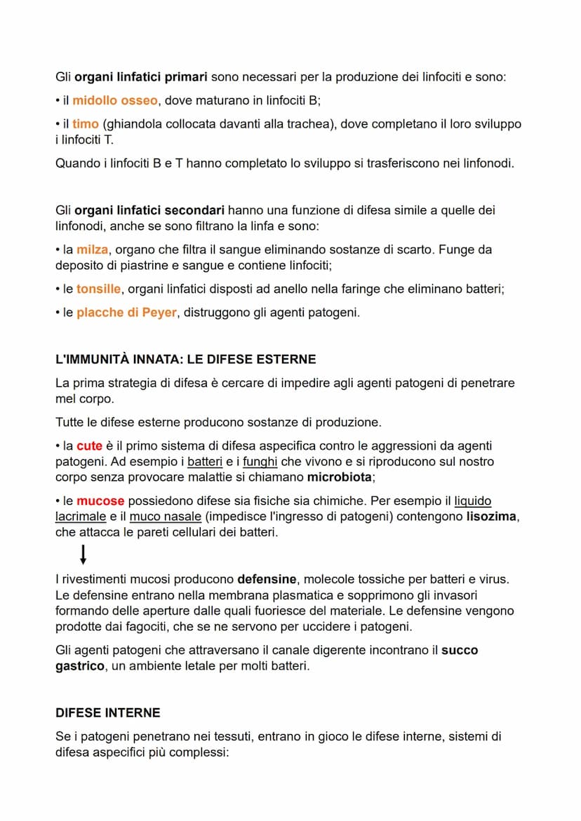 SISTEMA LINFATICO: DUE STRATEGIE DI DIFESA
Esistono due tipi principali di meccanismi di difesa:
• l'immunità innata o aspecifica comprende 