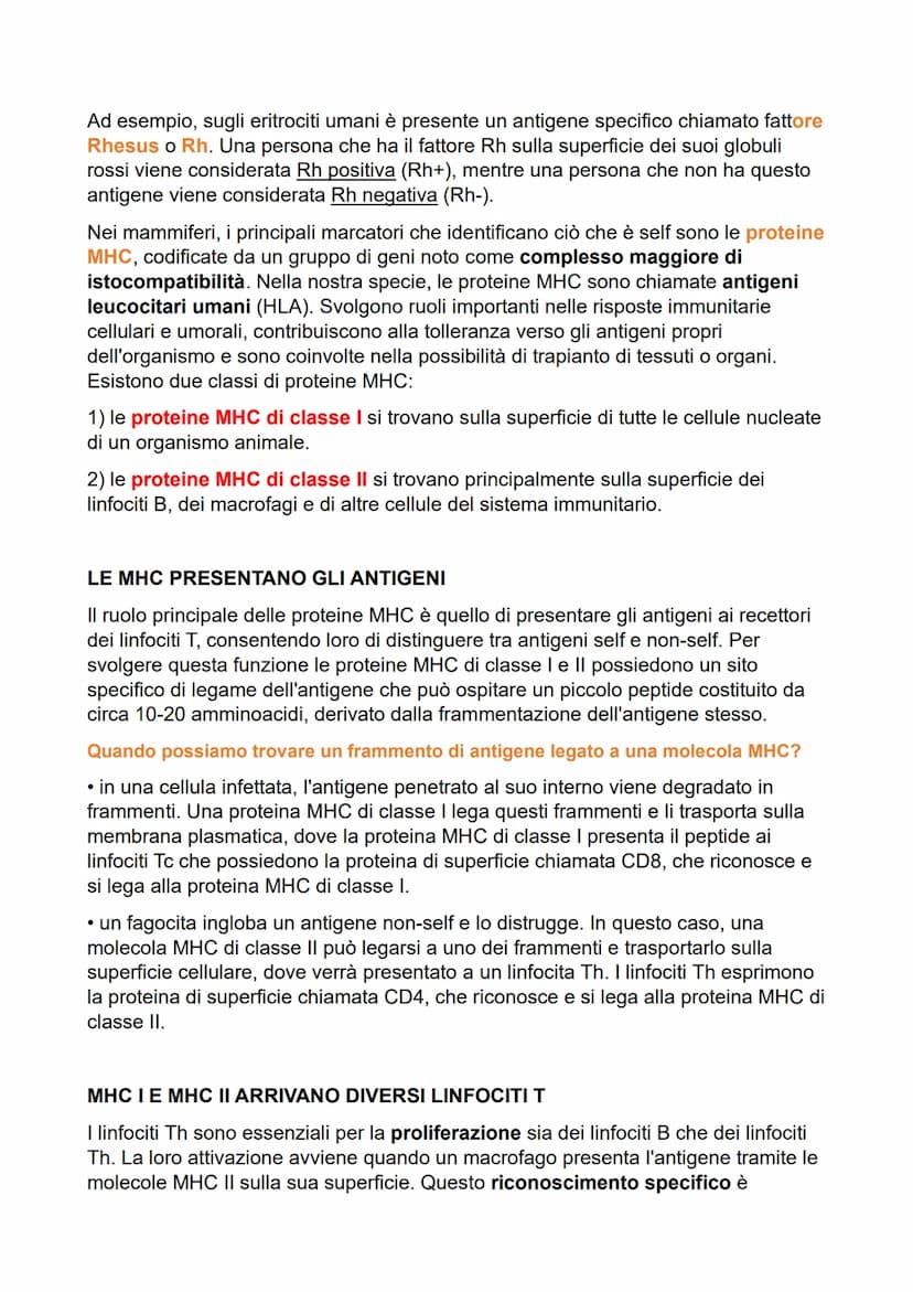 SISTEMA LINFATICO: DUE STRATEGIE DI DIFESA
Esistono due tipi principali di meccanismi di difesa:
• l'immunità innata o aspecifica comprende 