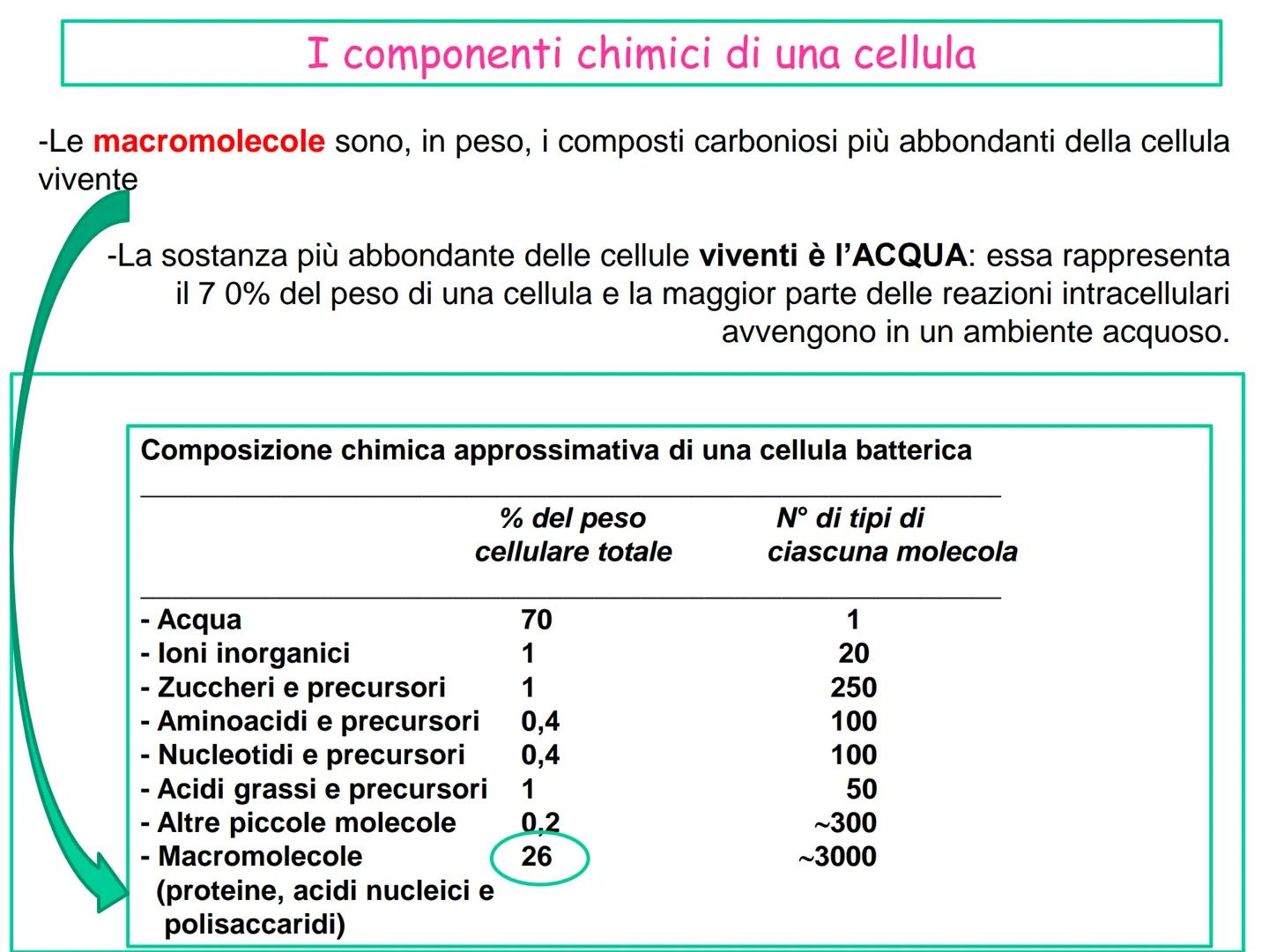 LEZIONE n° 1
subunità
unità da costruzione
della cellula
ZUCCHERI
ACIDI GRASSI
LE MACROMOLECOLE
BIOLOGICHE
AMMINOACIDI
NUCLEOTIDI
Le cellule