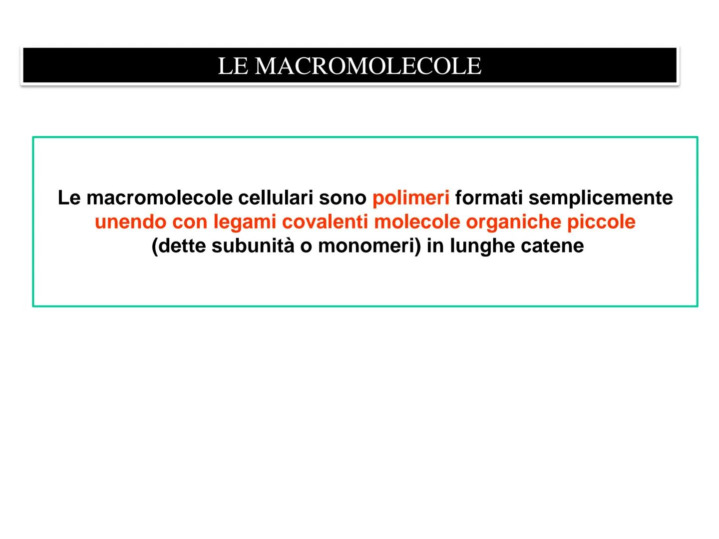 LEZIONE n° 1
subunità
unità da costruzione
della cellula
ZUCCHERI
ACIDI GRASSI
LE MACROMOLECOLE
BIOLOGICHE
AMMINOACIDI
NUCLEOTIDI
Le cellule