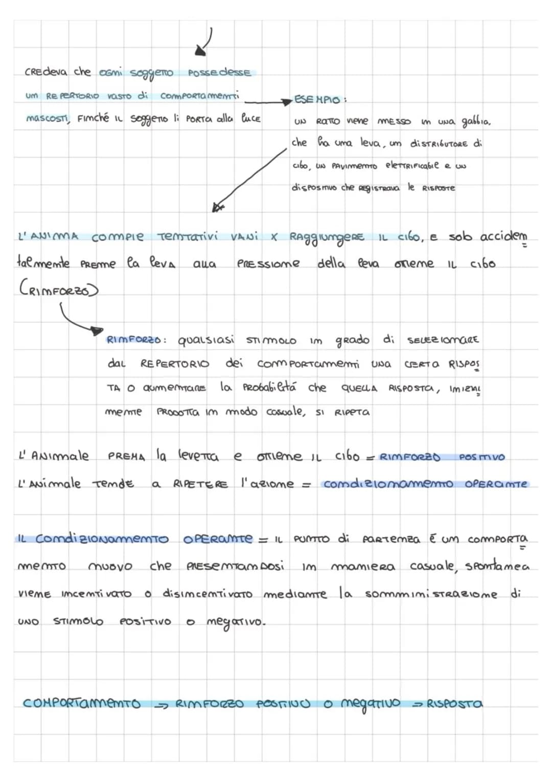 Che cos'É APPRENdimento?
PRINCIPALE:
APPRENDIMEMTO
Im base a quESTA DEFIMIZIome
qualsiasi
ComTraStamti
Strattamente legата
modifica del Com 