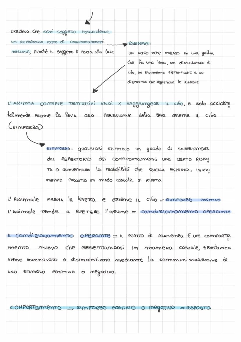 Che cos'É APPRENdimento?
PRINCIPALE:
APPRENDIMEMTO
Im base a quESTA DEFIMIZIome
qualsiasi
ComTraStamti
Strattamente legата
modifica del Com 