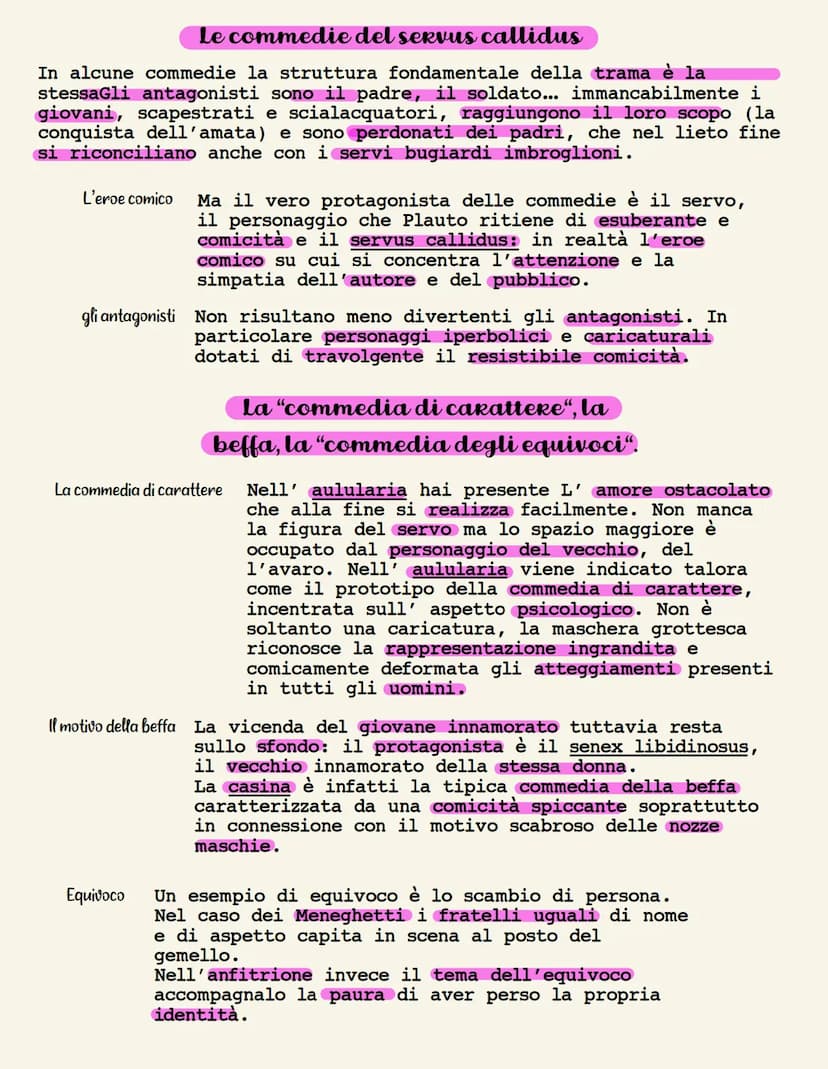 TITO MACCIO PLAUTO
La vita
I nomi del poeta
Di Plauto come persona storica sappiamo ben poco si
è supposto che il poeta abbia utilizzato in 